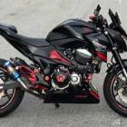 Kawasaki Z800 Maroon Black SC can full loan z8