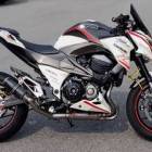 Kawasaki Z800 White Red SC z8 Aeon
