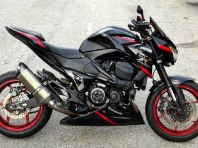 *Kawasaki Z800 Black Red z8 new paint can loan
