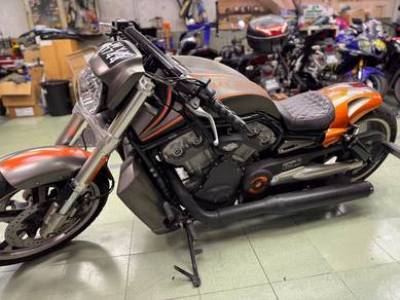 harley davidson v rod muscle 1250 custom
