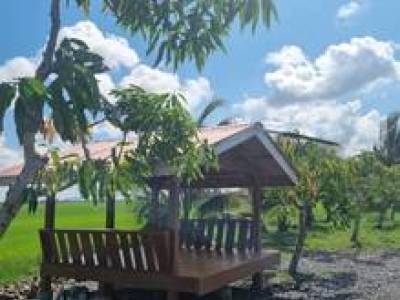 Tanah Luas 1.29 Ekar Beserta Homestay untuk dijual dekat Simpang Empat