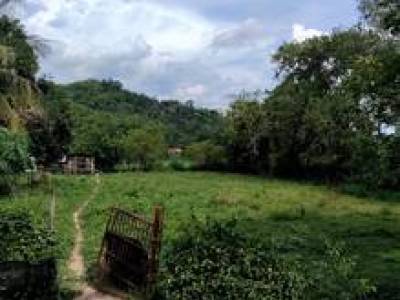 lot kosong untuk dijual