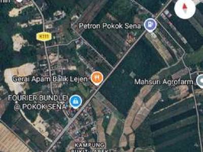 Land for sell Jalan Pokok Sena to Kuala Nerang