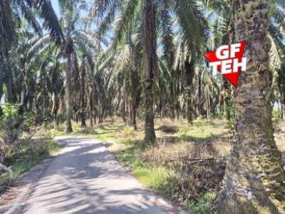 8.51 acre Agricultural Land Sungai Batu |Selama |Bandar Baharu Kedah B