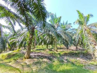 Sungai Siput