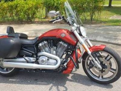 Harley Davidson HD vrod v-rod muscle